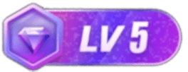 等级-LV5-视频-5元站
