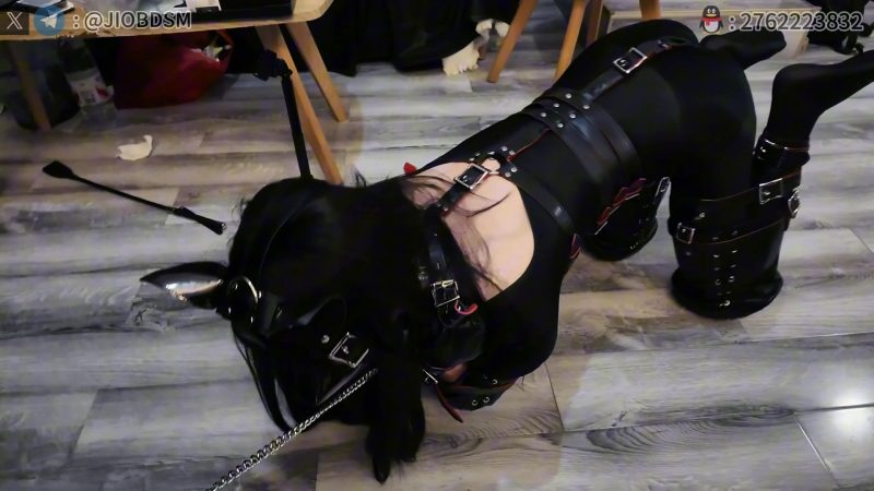 【JIOBDSM】新模特CD兔子 黑长直全包连体黑丝体验K9日常化 狗笼圈养 溜圈 调教 鞭打 内置震动玩具强制GC 对镜欣赏自己变成狗狗的模样 最后关回狗笼接着放置-视频-5元站