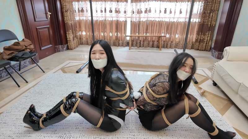 【枫叶工作室】《完蛋！我把美女捆绑了？——角色互换！惊喜不断的放松体验！》 - 视频-5元站-视频-5元站